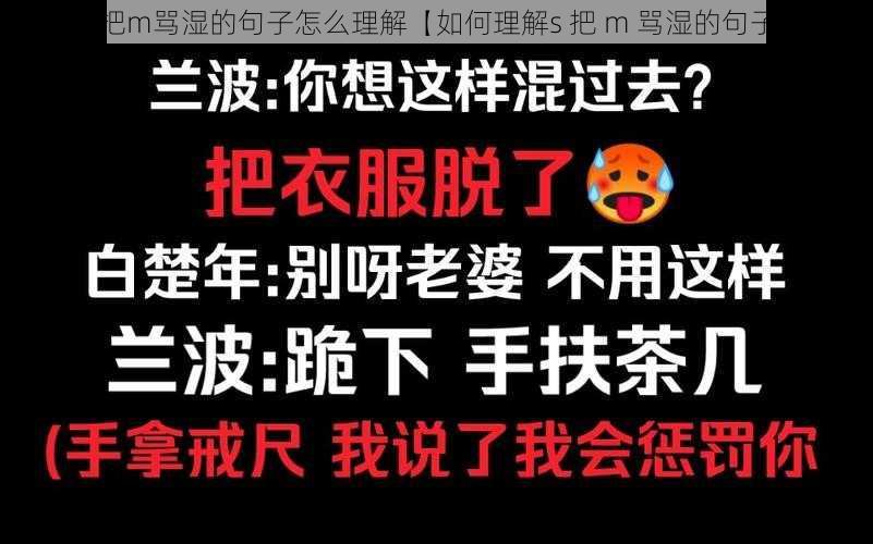 s把m骂湿的句子怎么理解【如何理解s 把 m 骂湿的句子】