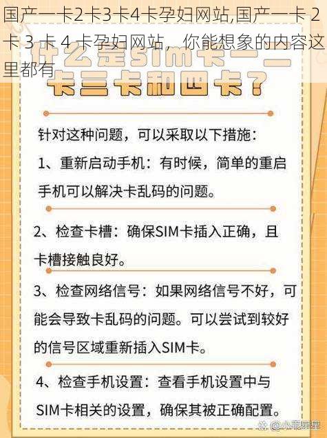 国产一卡2卡3卡4卡孕妇网站,国产一卡 2 卡 3 卡 4 卡孕妇网站，你能想象的内容这里都有