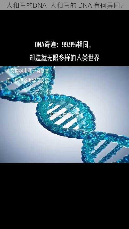 人和马的DNA_人和马的 DNA 有何异同？