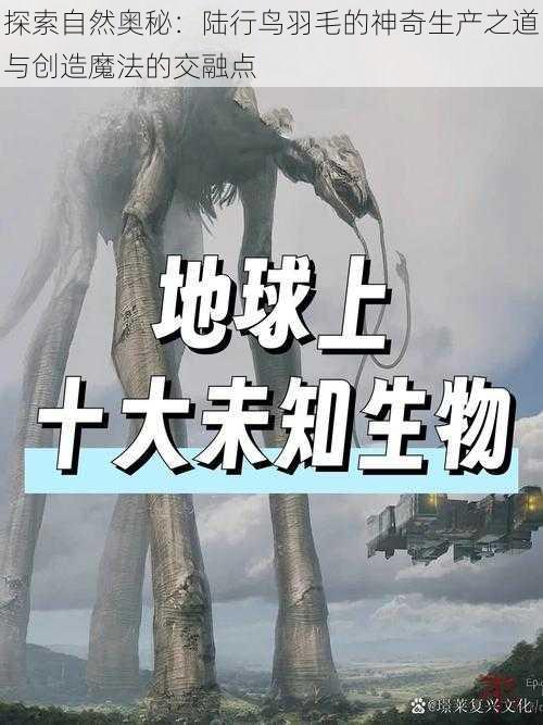 探索自然奥秘：陆行鸟羽毛的神奇生产之道与创造魔法的交融点