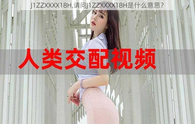 J1ZZXXXX18H,请问J1ZZXXXX18H是什么意思？