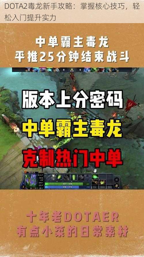 DOTA2毒龙新手攻略：掌握核心技巧，轻松入门提升实力