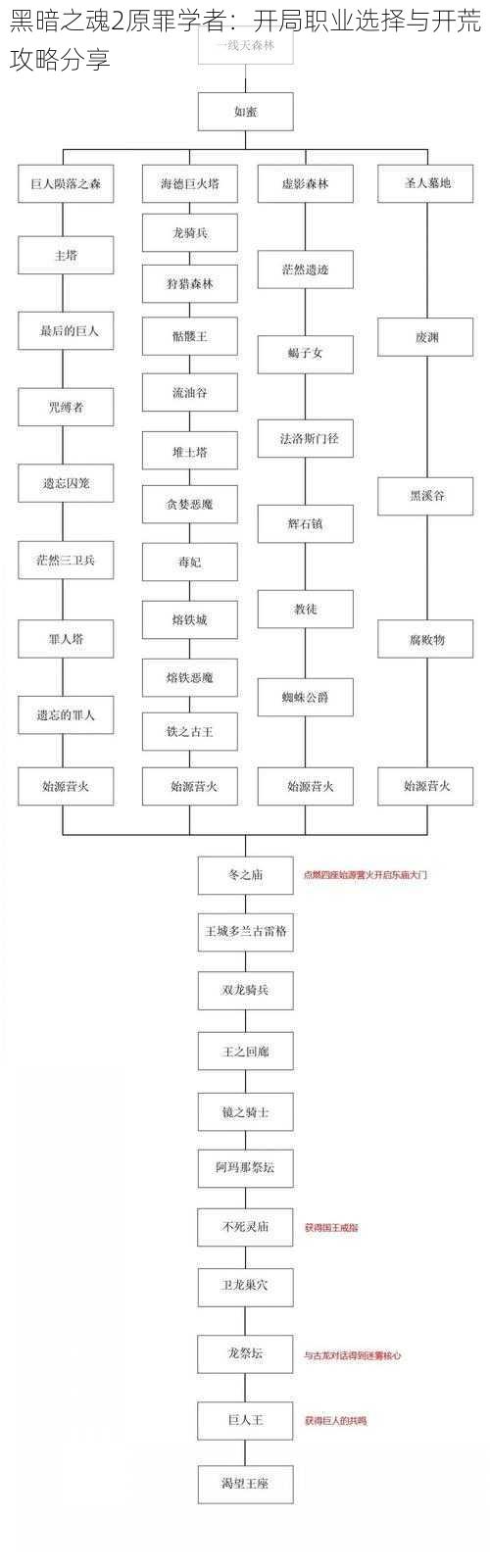 黑暗之魂2原罪学者：开局职业选择与开荒攻略分享