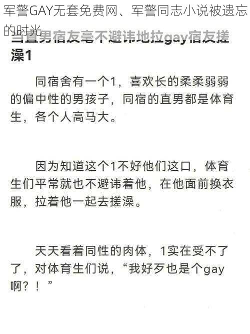 军警GAY无套免费网、军警同志小说被遗忘的时光