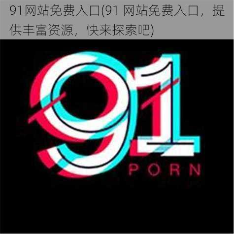 91网站免费入口(91 网站免费入口，提供丰富资源，快来探索吧)