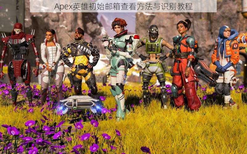 Apex英雄初始邮箱查看方法与识别教程