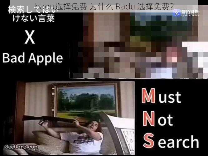 badu选择免费 为什么 Badu 选择免费？