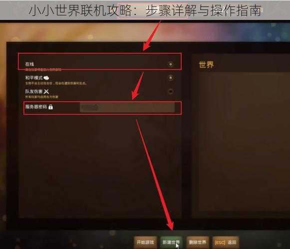 小小世界联机攻略：步骤详解与操作指南