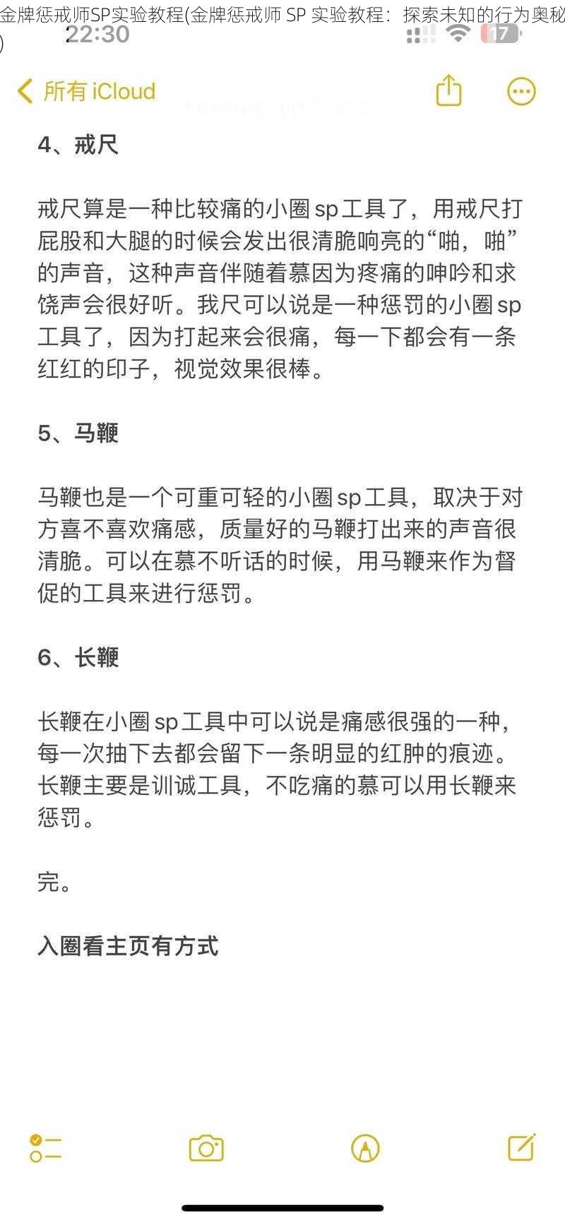 金牌惩戒师SP实验教程(金牌惩戒师 SP 实验教程：探索未知的行为奥秘)