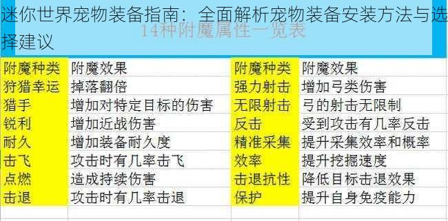 迷你世界宠物装备指南：全面解析宠物装备安装方法与选择建议