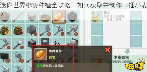 迷你世界小麦种植全攻略：如何获取并制作一捆小麦？