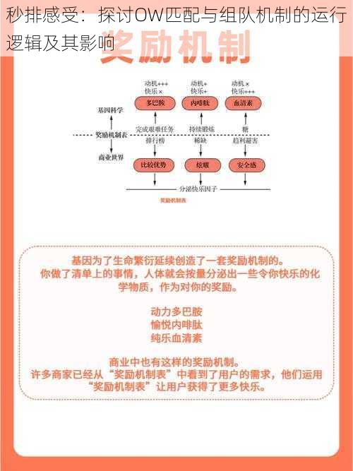 秒排感受：探讨OW匹配与组队机制的运行逻辑及其影响