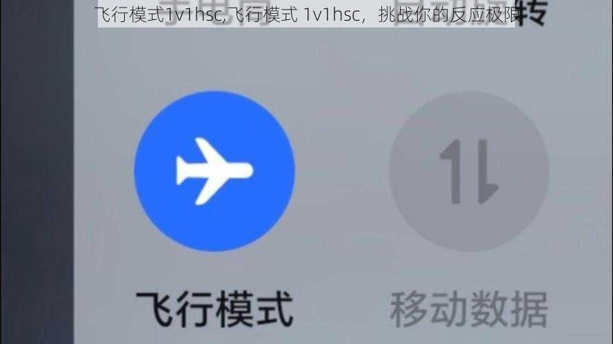 飞行模式1v1hsc,飞行模式 1v1hsc，挑战你的反应极限