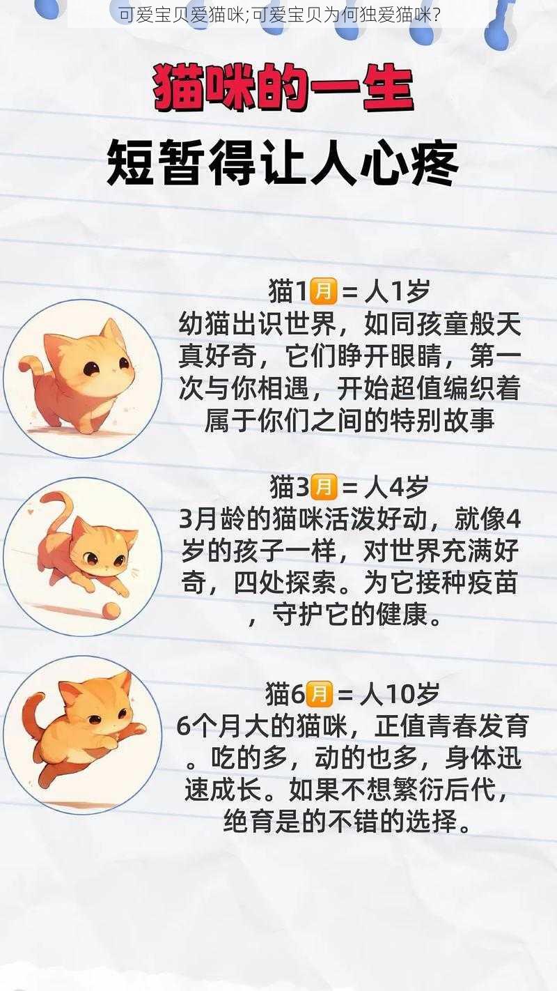 可爱宝贝爱猫咪;可爱宝贝为何独爱猫咪？