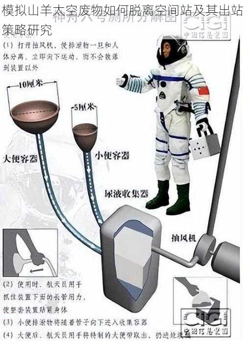 模拟山羊太空废物如何脱离空间站及其出站策略研究