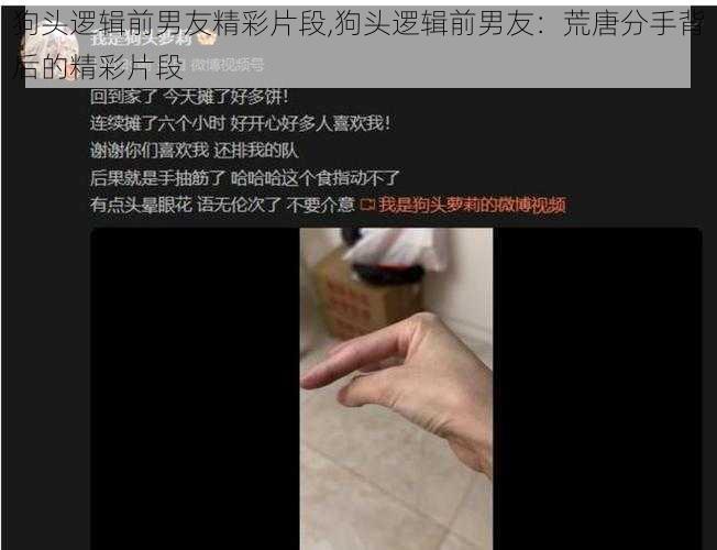 狗头逻辑前男友精彩片段,狗头逻辑前男友：荒唐分手背后的精彩片段