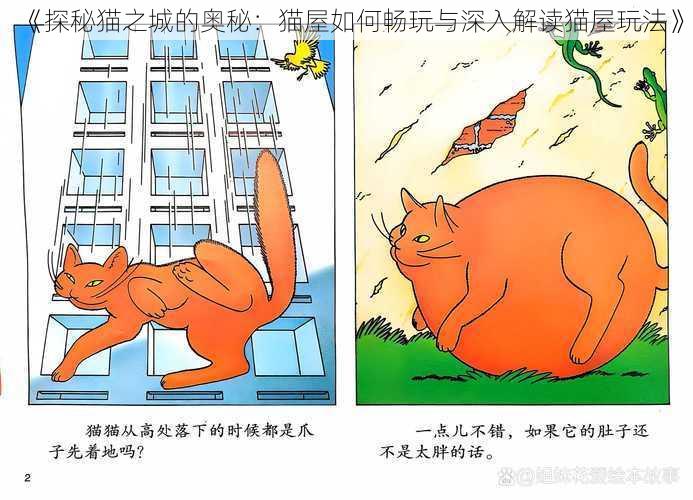 《探秘猫之城的奥秘：猫屋如何畅玩与深入解读猫屋玩法》