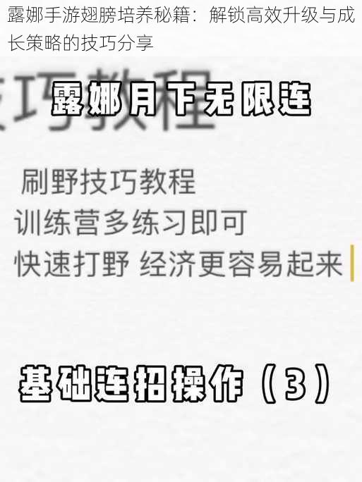 露娜手游翅膀培养秘籍：解锁高效升级与成长策略的技巧分享