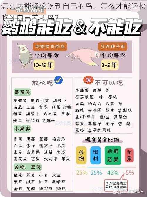 怎么才能轻松吃到自己的鸟、怎么才能轻松吃到自己养的鸟？