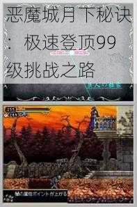 恶魔城月下秘诀：极速登顶99级挑战之路