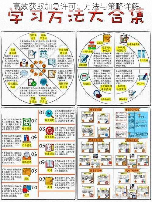 高效获取加急许可：方法与策略详解