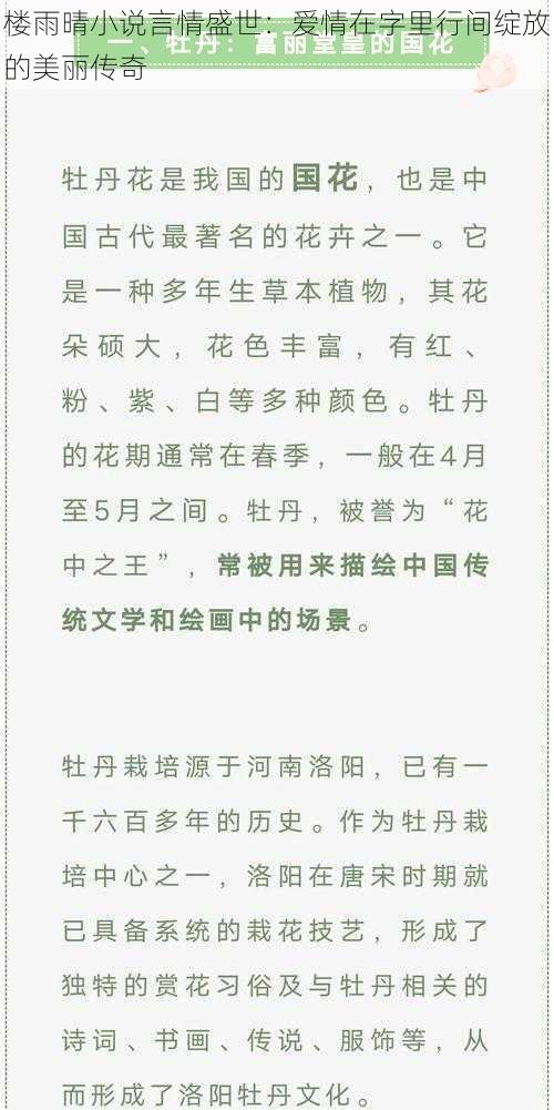 楼雨晴小说言情盛世：爱情在字里行间绽放的美丽传奇