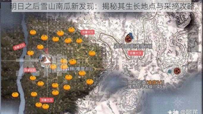 明日之后雪山南瓜新发现：揭秘其生长地点与采摘攻略