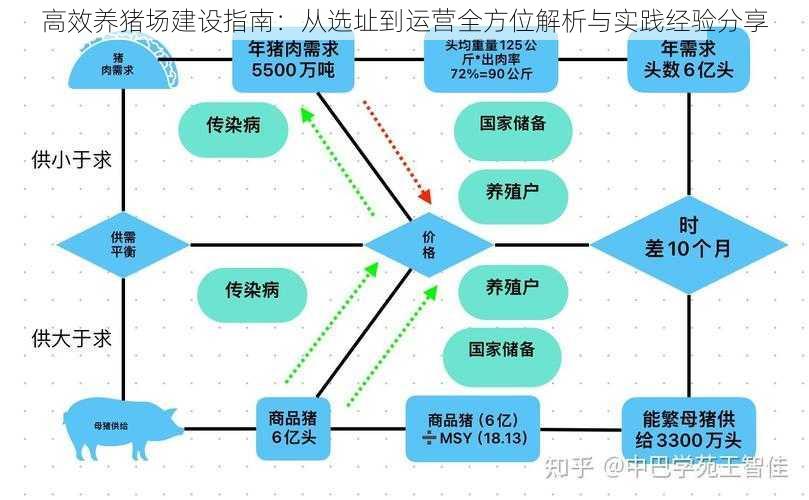 高效养猪场建设指南：从选址到运营全方位解析与实践经验分享