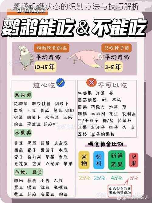 鹦鹉饥饿状态的识别方法与技巧解析