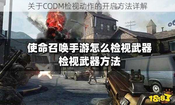 关于CODM检视动作的开启方法详解