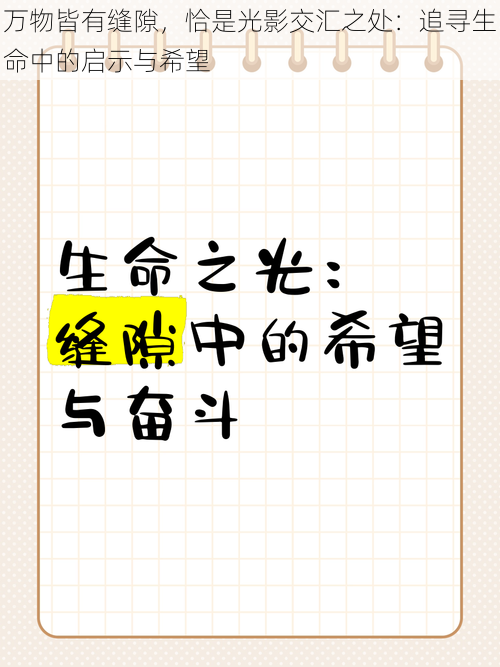 万物皆有缝隙，恰是光影交汇之处：追寻生命中的启示与希望