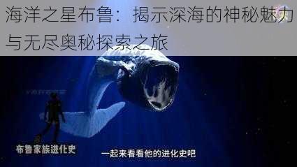 海洋之星布鲁：揭示深海的神秘魅力与无尽奥秘探索之旅