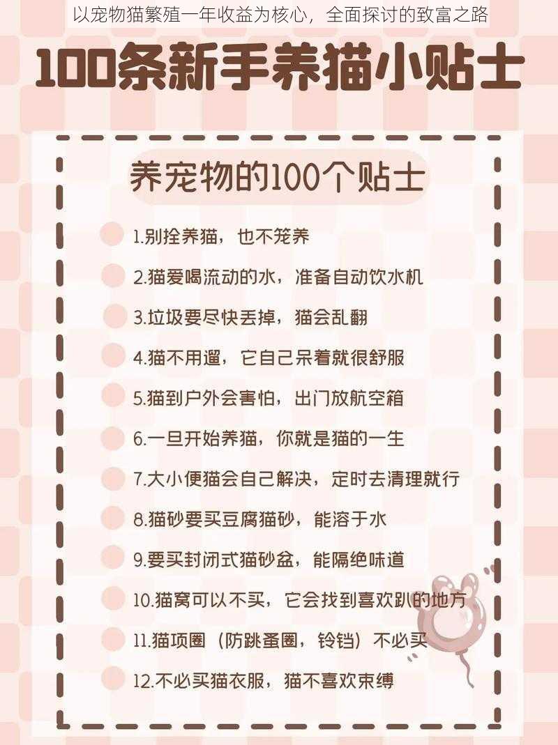 以宠物猫繁殖一年收益为核心，全面探讨的致富之路