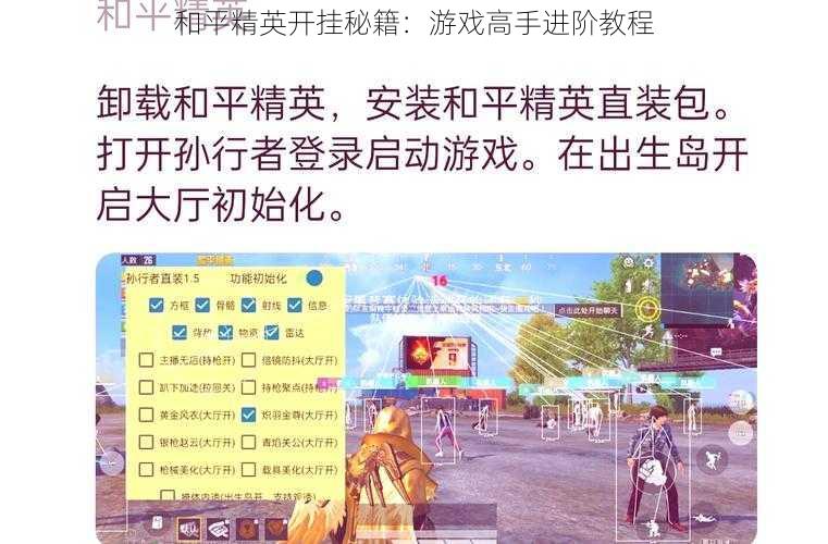 和平精英开挂秘籍：游戏高手进阶教程