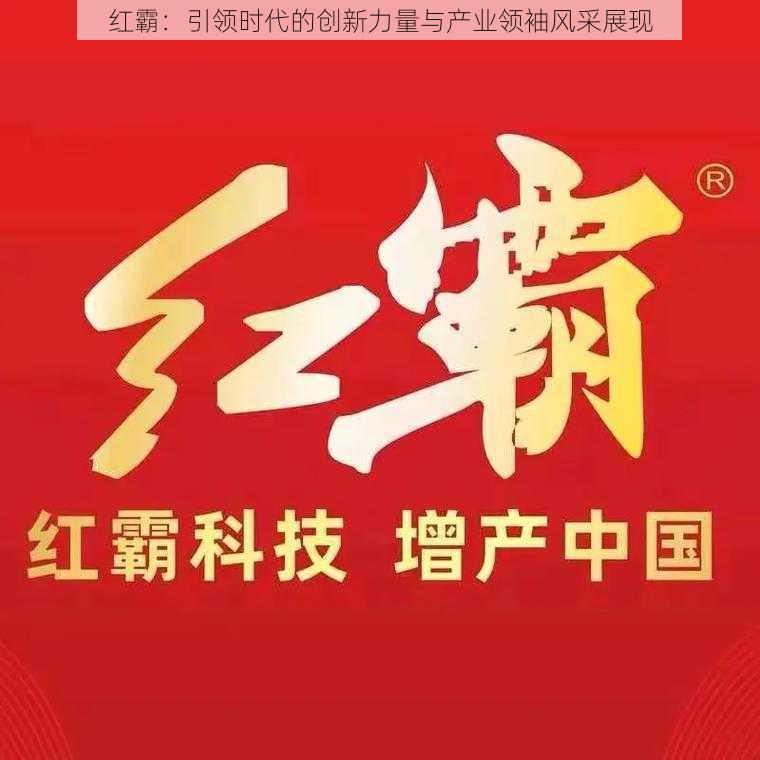 红霸：引领时代的创新力量与产业领袖风采展现