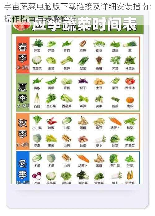 宇宙蔬菜电脑版下载链接及详细安装指南：操作指南与步骤解析