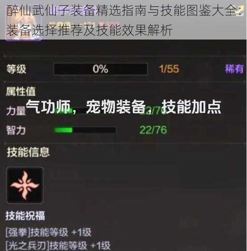 醉仙武仙子装备精选指南与技能图鉴大全：装备选择推荐及技能效果解析